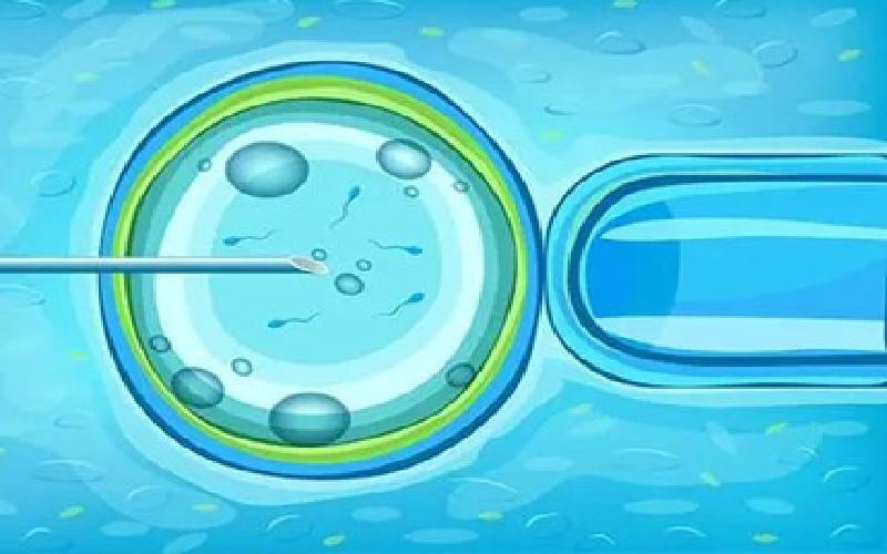 试管成功几周停药代生